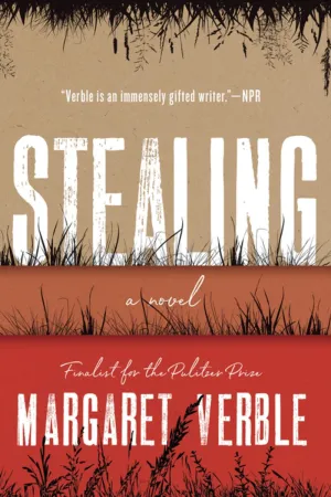 Stealing : A Novel