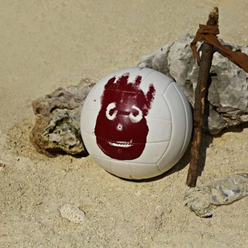 Wilson Castaway Volleyball