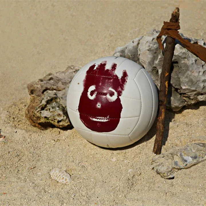 Wilson Castaway Volleyball