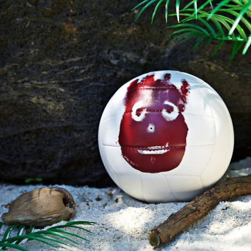 Wilson Castaway Volleyball